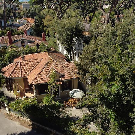 Exclusive Charming Villa - Free Parking 400 Mq Garden - Rome Airport - Roseto Villa Dream Fregenae Buitenkant foto